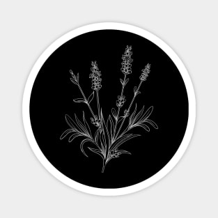 Lavender Line Art Black Background White Line Magnet